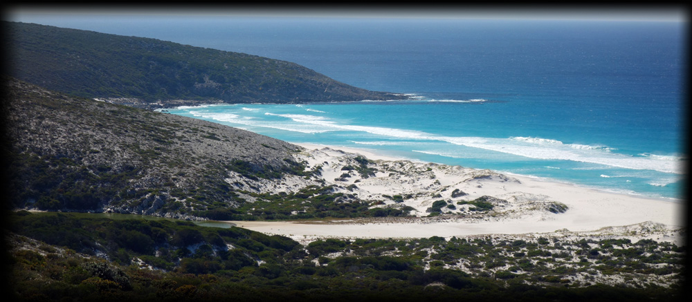 A pristine Australian beach.