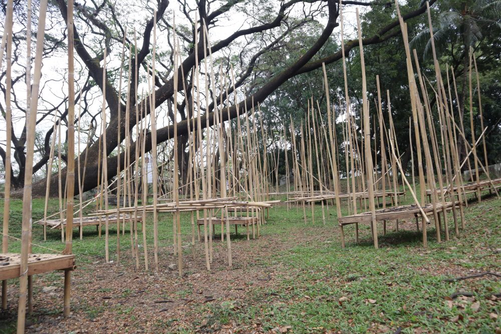 A bamboo art installation.
